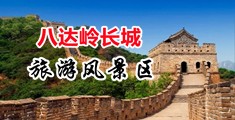 大鸡巴干骚逼免费视频中国北京-八达岭长城旅游风景区